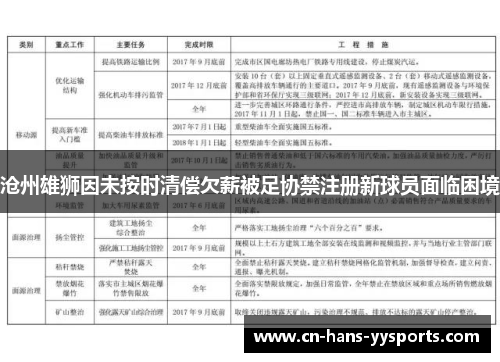 沧州雄狮因未按时清偿欠薪被足协禁注册新球员面临困境